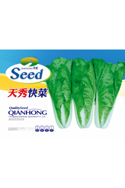 天秀快菜